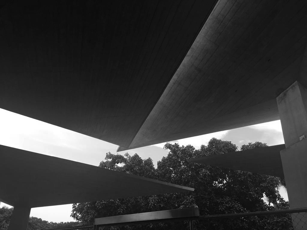 Vista en blanco y negro de la techumbre alabeada