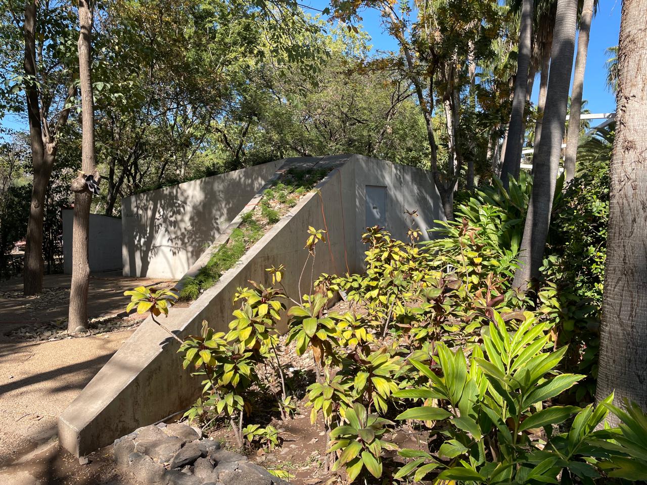 Vista del Auditorio Abierto desde el jardín